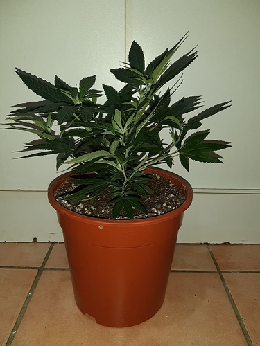 Growreport Bild 8