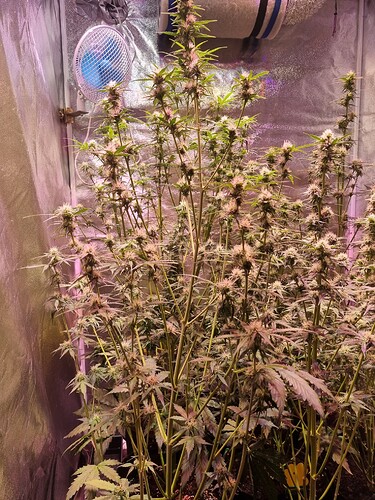 Growreport Bild 22