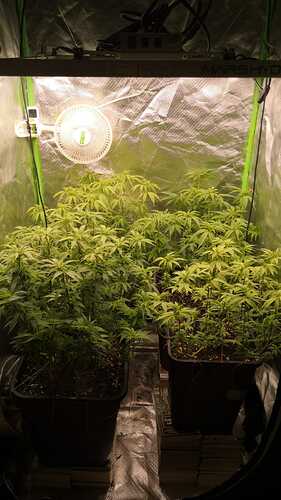 IMG-20231113-WA0182