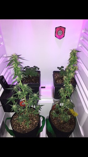 Growreport Bild 12