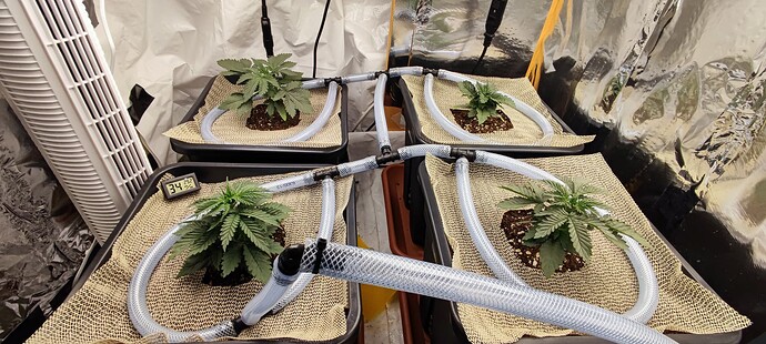 Growreport Bild 1