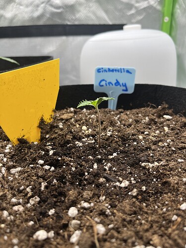 Growreport Bild 21