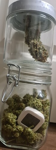 Growreport Bild 30