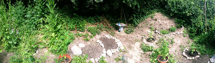 Growreport Bild 3