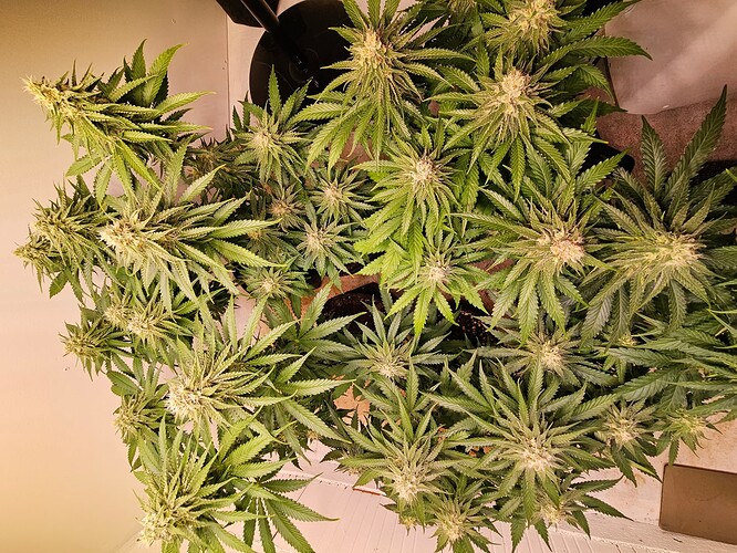 Growreport Bild 22