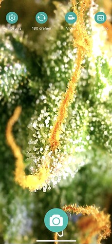 Growreport Bild 7