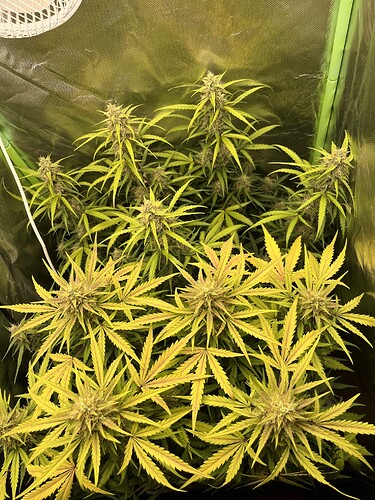 Growreport Bild 2