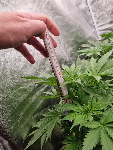 Growreport Bild 24