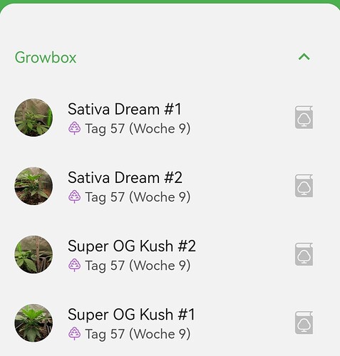 Growreport Bild 10