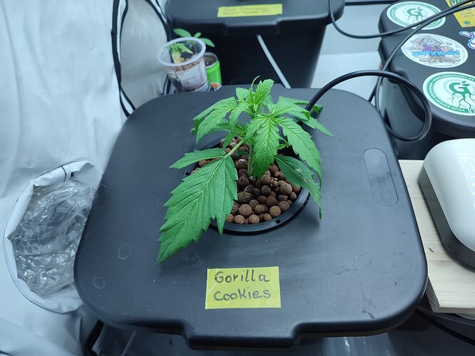 Growreport Bild 30
