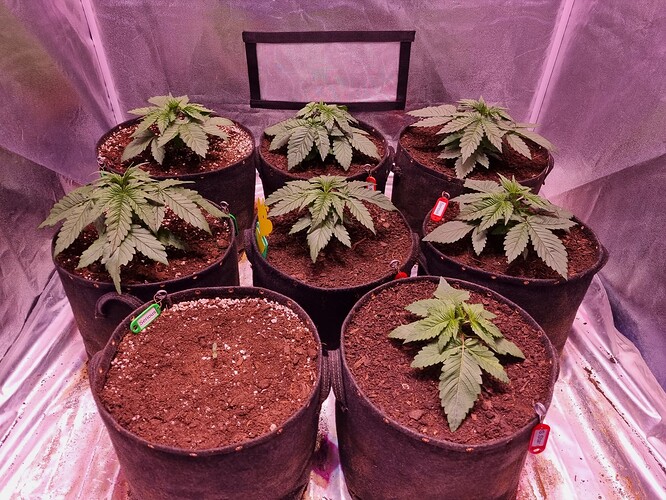 Growreport Bild 18