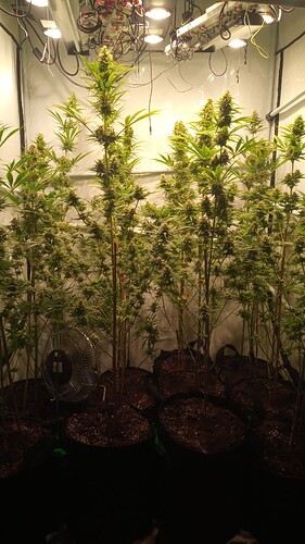 Growreport Bild 3