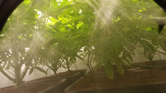 Growreport Bild 3