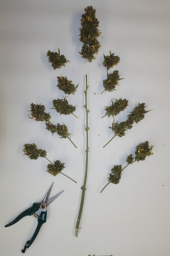Growreport Bild 3