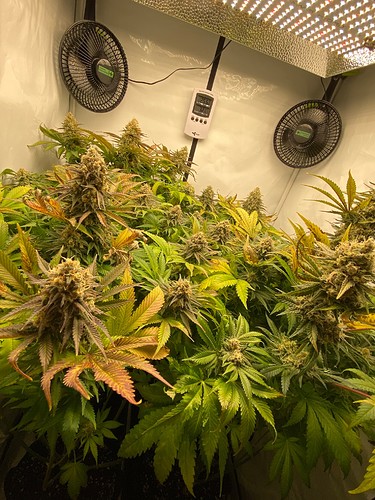 Growreport Bild 3