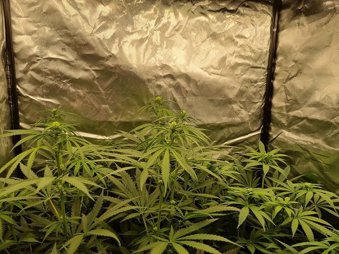 Growreport Bild 30