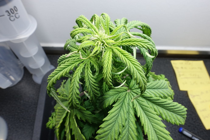 Growreport Bild 6