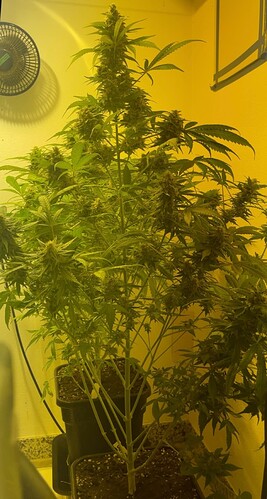 Growreport Bild 11