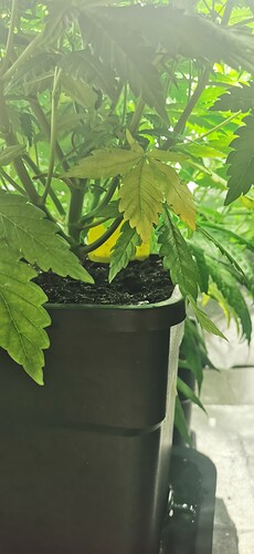 Growreport Bild 11