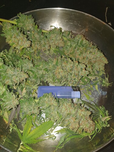 Growreport Bild 23