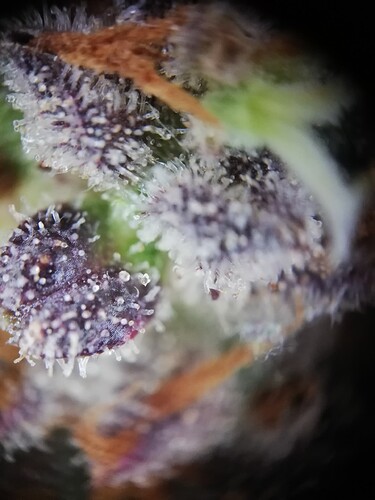 GG#1_240122-4