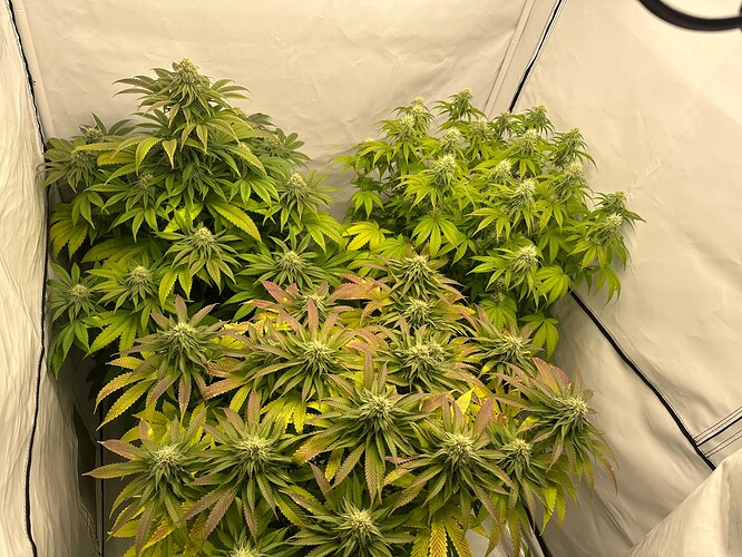 Growreport Bild 9