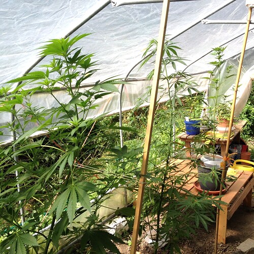 Growreport Bild 30