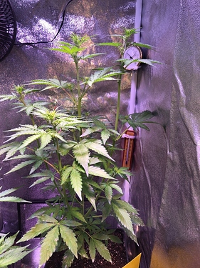 Growreport Bild 23