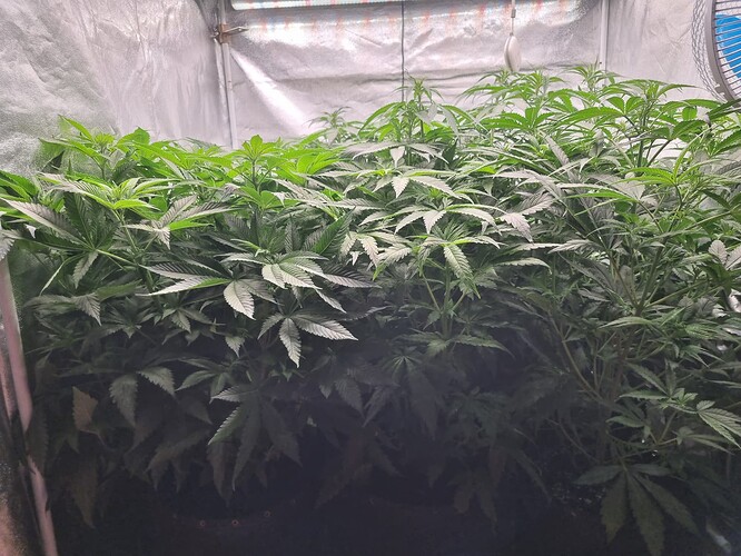 Growreport Bild 18
