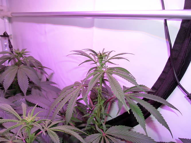 Growreport Bild 8