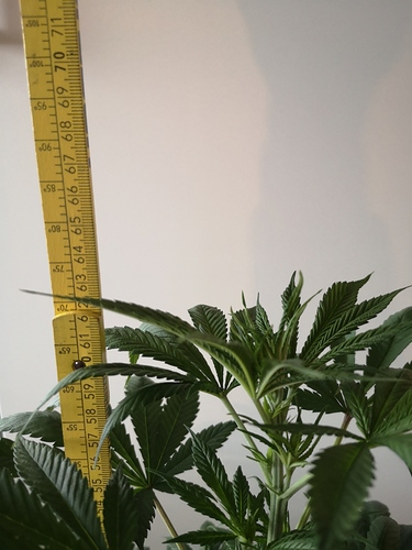Growreport Bild 15