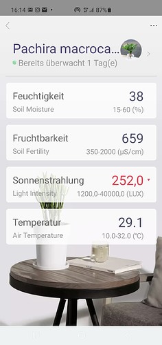 Growreport Bild 2