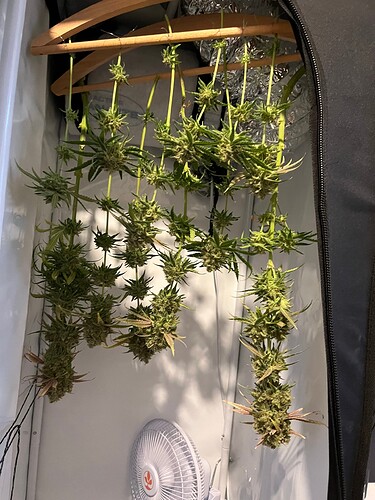 Growreport Bild 58