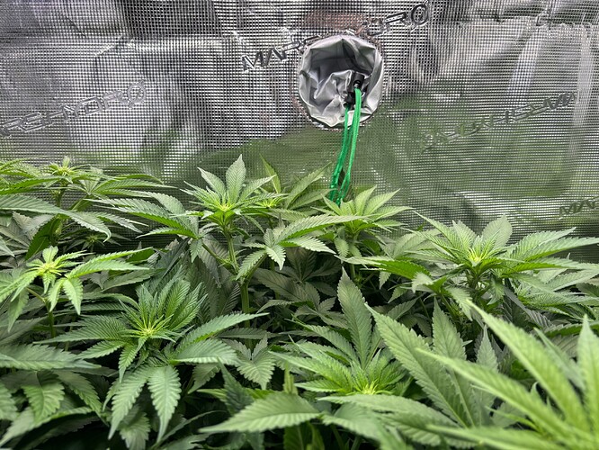 Growreport Bild 16