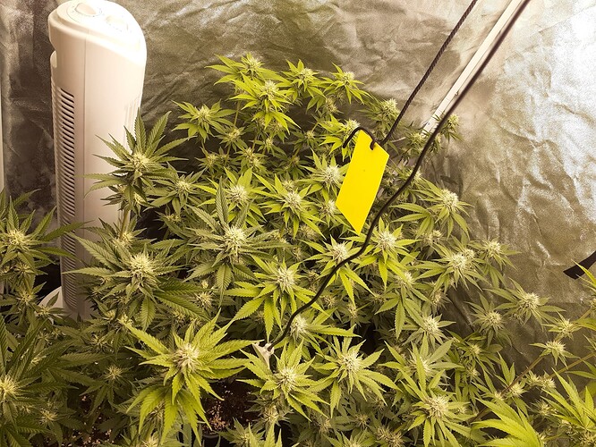 Growreport Bild 8