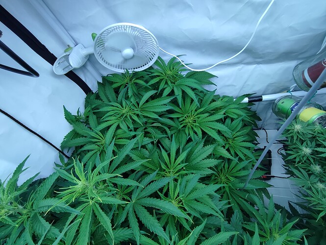 Growreport Bild 9