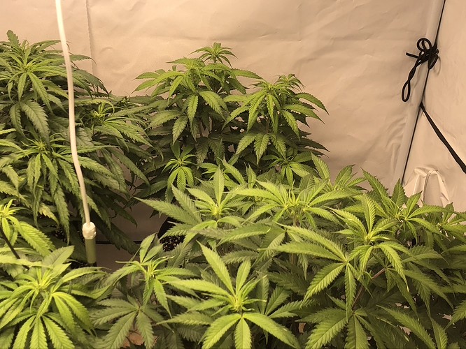 Growreport Bild 5