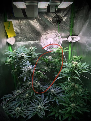 Growreport Bild 10