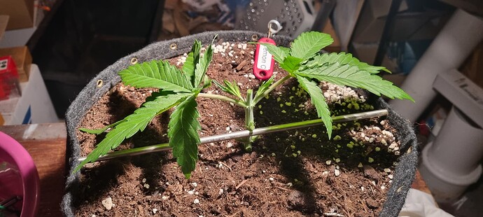 Growreport Bild 10