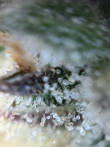 Growreport Bild 26