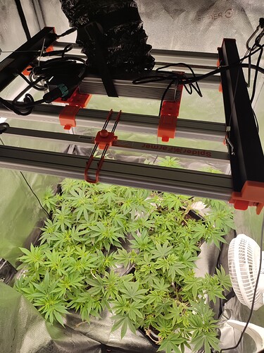 Growreport Bild 20