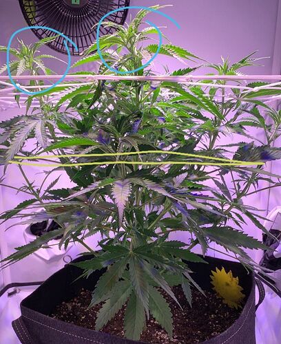 IMG_20221010_204745_161