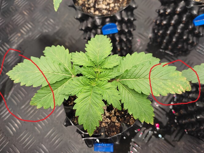 Growreport Bild 14
