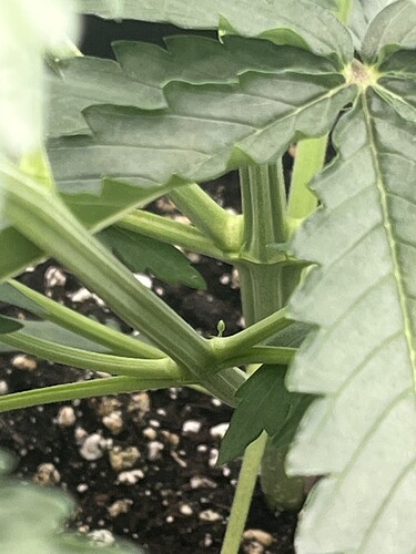 Growreport Bild 16