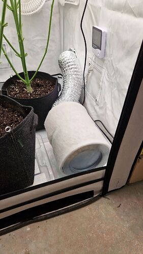 Growreport Bild 5