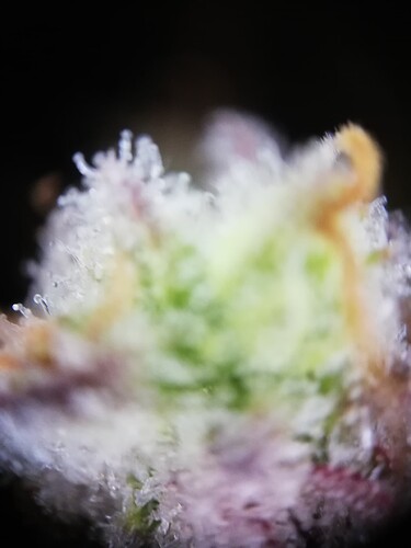 GG#2_240108-3