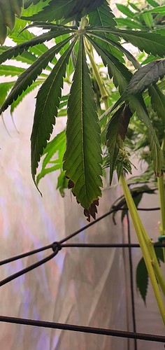Growreport Bild 20