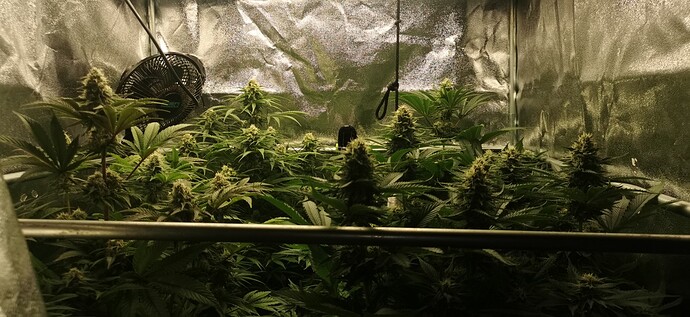 Growreport Bild 24