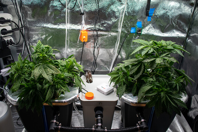 Growreport Bild 16