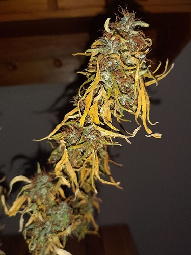 Growreport Bild 6